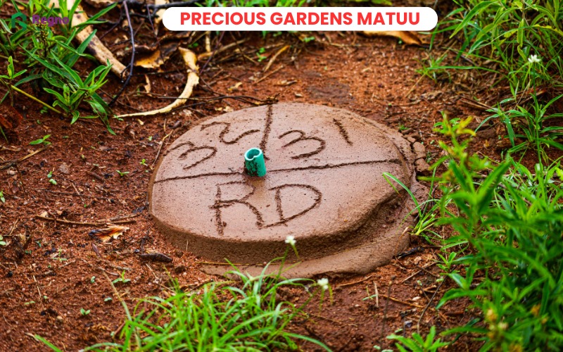 Plots for sale in Matuu - Precious Gardens